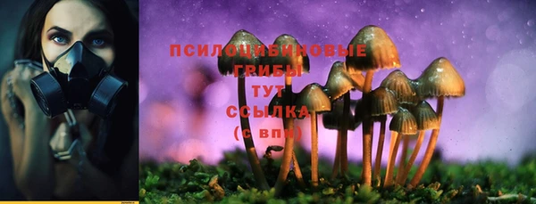 твердый Магадан