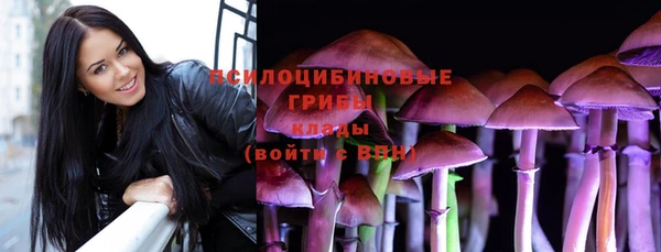 бошки Майский