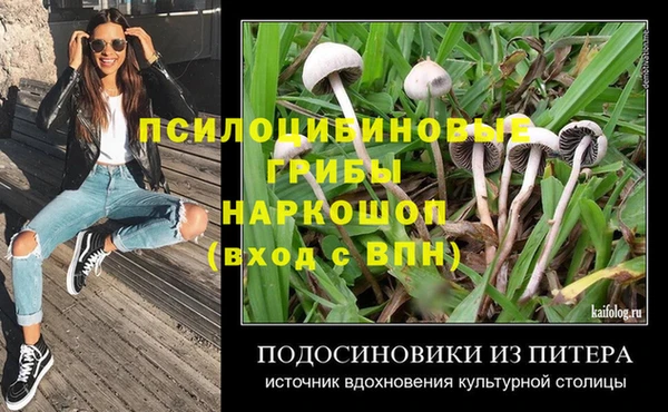 твердый Магадан